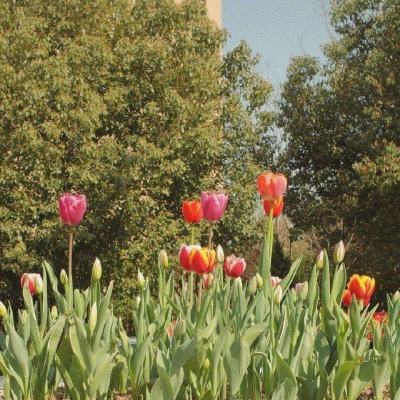 雷竞技app官方版下载