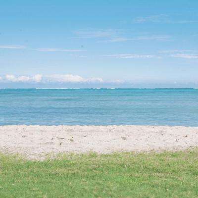 ag网游在线下载